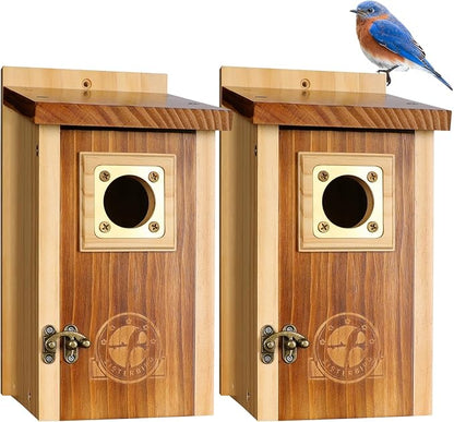 Pack of 2 Bluebird Houses for Outside, Premium Wooden Bird Houses for Outdoor, Weatherproof Blue Bird House, Bluebird Swallow Chickadee Wren, Assembly Required