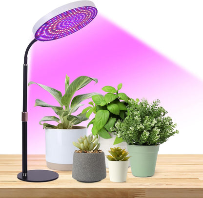 Desk Grow Light, 288 LEDs Red Blue White Full Spectrum Plant Light for Indoor Plants,3490 Lumen Indoor Grow Lamp,3 Modes for Plants Greenhouse Veg Bloom Light
