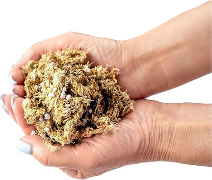 GARDENERA Sphagnum Moss Potting Mix for Carnivorous Plants, Moss and Perlite Blend for Potting Venus Fly Traps, Sarracenia, Pitcher Plants - 75% Sphagnum Moss + 25% Perlite - Made in USA - 3 Quart