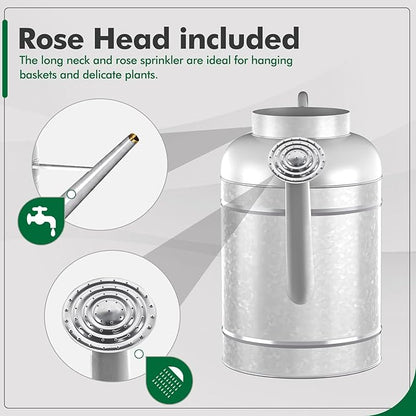 Galvanized Iron Watering Can for Indoor Plants, Bowl Watering Cans for House Plant Garden Flower, Long Spout Water Can for Outdoor Watering Plants 8.71L 2.3 Gallon