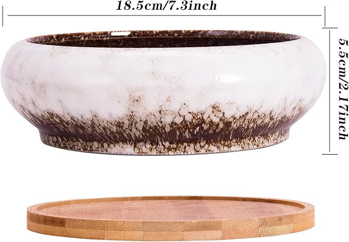 ARTKETTY Succulent Pots - 7.3 Inch Ceramic Bonsai Pot with Tray, Large Succulent Planters with Drainage, Shallow Planter for Indoor Cactus Plants Decorative Flower Plant Container Bowl