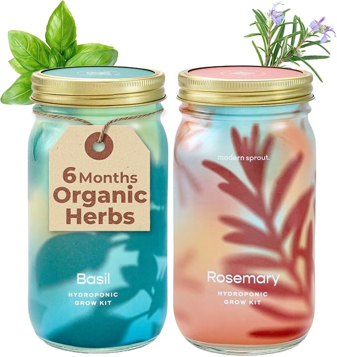 Modern Sprout Mason Garden Jar - Self-Watering Hydroponics Growing System Kit with Organic Herb Seeds - Jar Planter for Indoor Herb Garden - Seed Starter Kit - Home Decor & Gifting - Basil+Rosemary