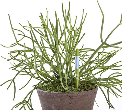 Sustee Medium Refillable Insert Aqua Meter (Green) with Core Installed + 2 Additional Medium Cores - Plant Moisture Sensor For Potted Plants