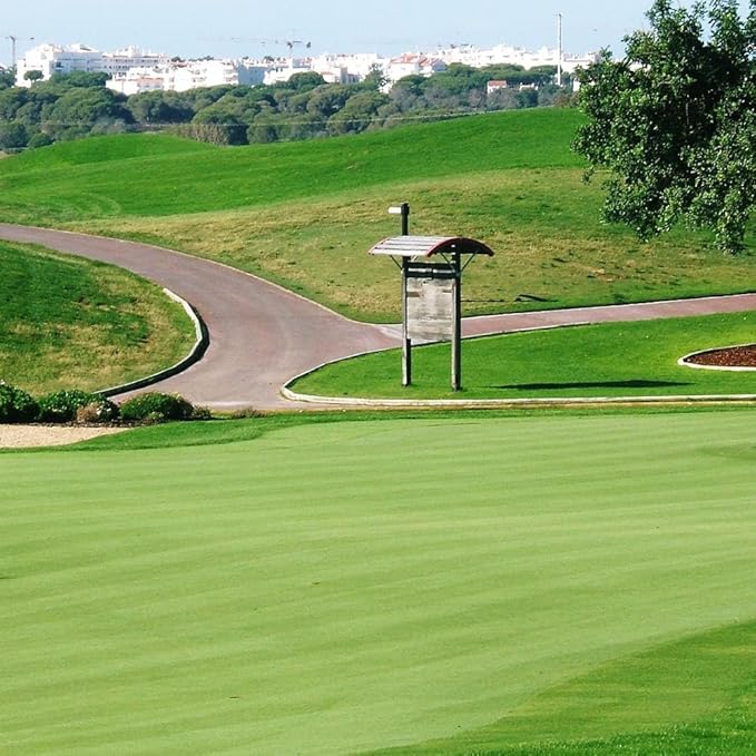 Outsidepride T-1 Creeping Bentgrass Seed - 5 lbs Fine-Bladed, Premium Quality Turf, Grass Seed for Smooth Surface, & High-Traffic Areas, Ideal Grass for Golf Courses Putting Greens, & Fairways