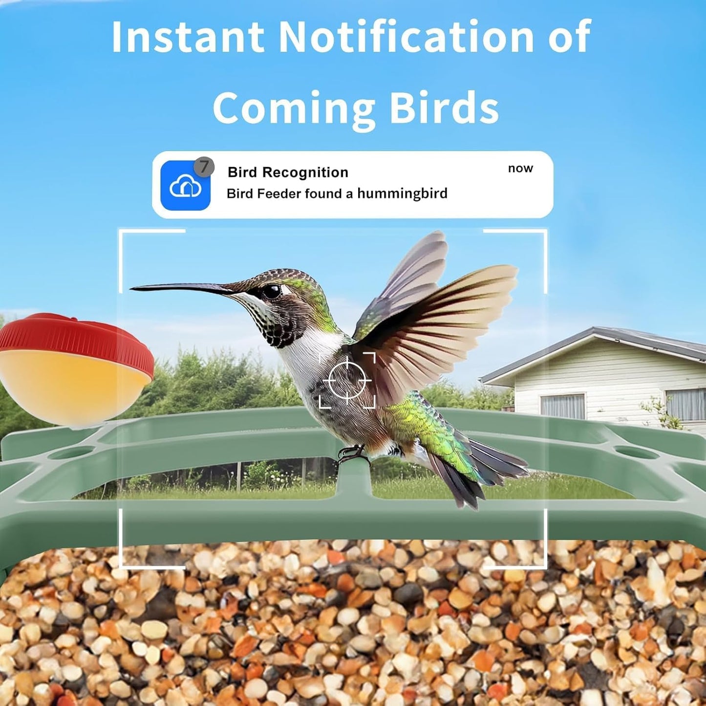 Smart Birdfeeder with Camera Built-in&Solar Powered-Humming Bird Feeder Birdhouse with Camera Inside Wireless Video Live,Night Vision, AI Bird Recognition,Real-Time Alerts for Outdoor Birdlover Gifts