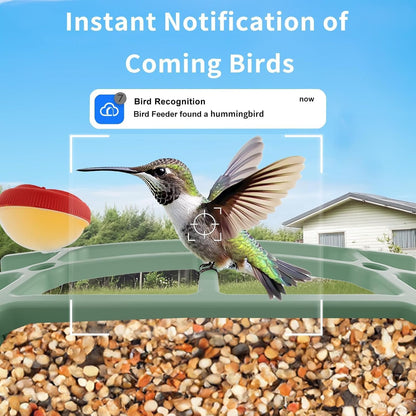Smart Birdfeeder with Camera Built-in&Solar Powered-Humming Bird Feeder Birdhouse with Camera Inside Wireless Video Live,Night Vision, AI Bird Recognition,Real-Time Alerts for Outdoor Birdlover Gifts