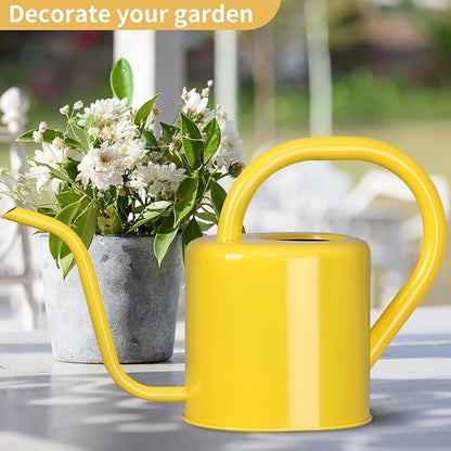 Watering Can, Stainless Steel Watering Can for Indoor & Outdoor Plants, 1L/35oz Long Spout Water Can with Handle, Rust-Proof Plant Watering Pot for House Plants, Garden Flowers