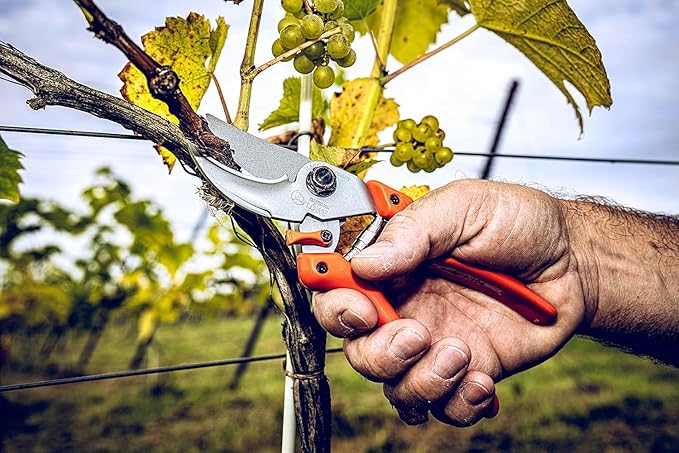 Original LÖWE 9 Bypass Pruning Shears 9.104 with Adjustable Grip Width - Sharp Carbon Steel Blades with Non-Stick Coating Ideal for Cutting Plants, Roses, and Cut Flowers