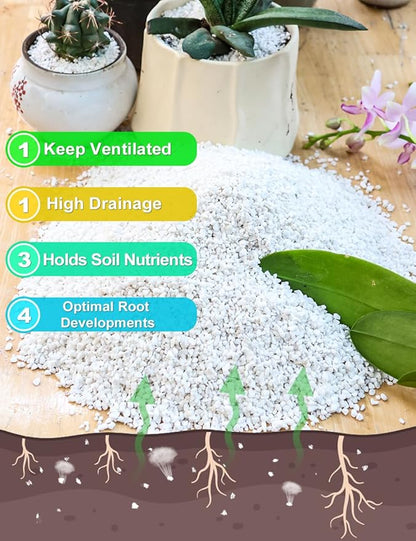 TOYPOPOR Perlite for Plants, 3-6mm Organic Perlite for Gardening, Perlite for Plants Indoor, Soil Additive Conditioner Mix Improve Drainage and Ventilation Promote Root Growth and Soil Health 1qt