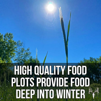 Crooked Bend Last Resort, 25LB Bulk Size, Food Plot Seed for Deer, Mix of Cereal Grain Rye, Wheat, Triticale, Barley, & Oats, Pheasant, Turkey, Dove, Wildlife & Whitetail Hunting Foodplots & Pasture