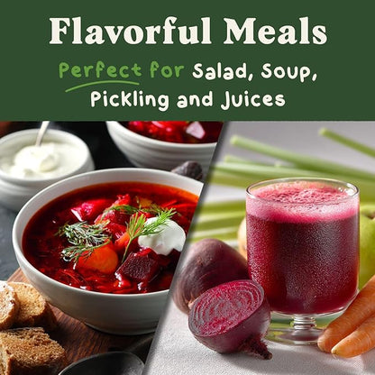 Seedboy Organic Beets Seeds for Planting Indoor and Outdoor, Non-GMO and USDA Certified Vegetable Seed Packet for Hydroponic Garden Indoor or Planting Outdoors (Detroit Dark Red Beets)