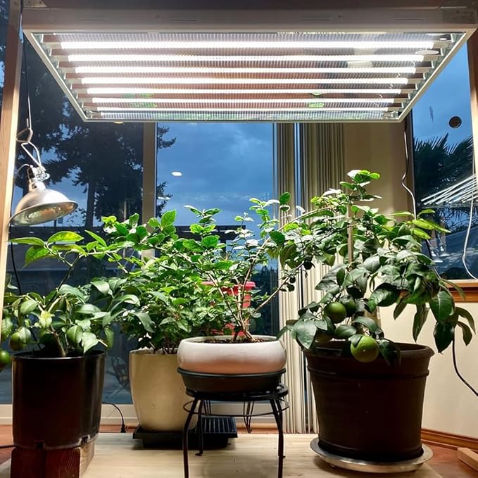 Active Grow 4FT T5 HO LED Grow Light – 8×25W Full Spectrum Panel, Sun White Pro, Daisy-Chainable – Ideal Grow Light for Indoor Plants, Seeds & Starts, T5 Grow Lights Fixture