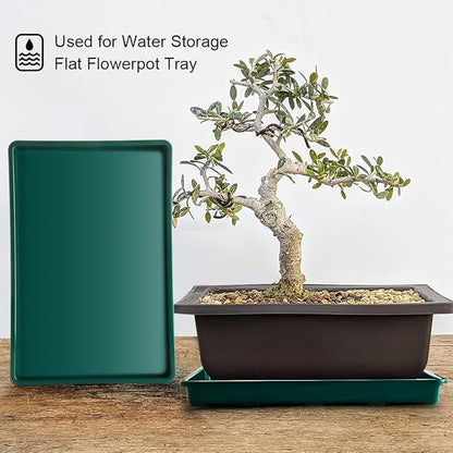 5 Pack Seed Starter Trays (17"x11"x2"), Plastic Flat Nursery Pots Trays, Durable Carrying Seedling Starter Tray, Reusable Tray for Planting and Collecting Drainage Water (Green)