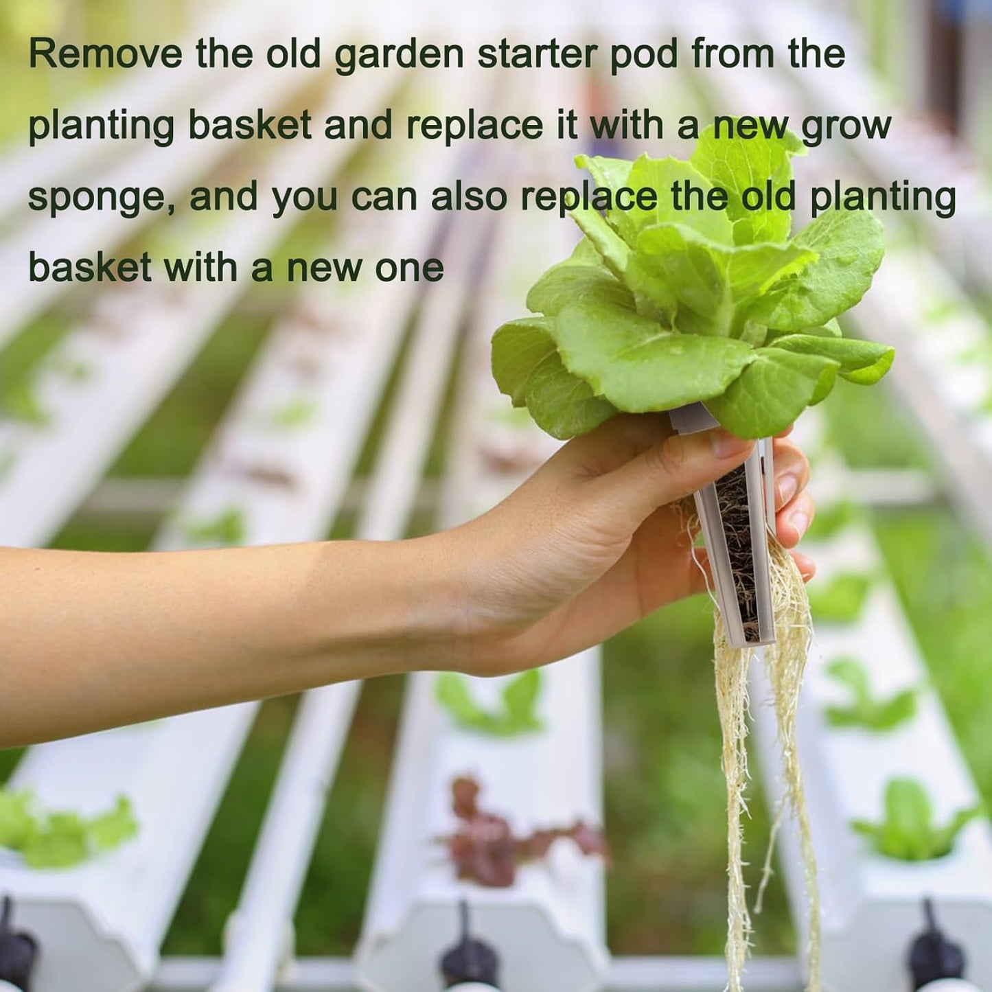 150P Grow Sponges for Hydroponics, Windspeed Grow Anything Seed Pod kit Include 50 Grow Sponges, 24 Grow Baskets, 24 Grow Domes, 50 Pod Labels, 2 Tweezers