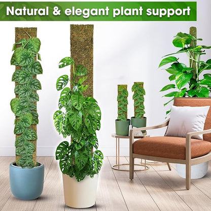 DUSPRO 59’’ Flat Mesh Moss Poles for Climbing Plants Monstera Flat Stacks for Tall Plant with Real Moss Moss Pole for Indoor Plants Plant Stick Support Tall Indoor Plants Support Stakes (1pc., 59'')
