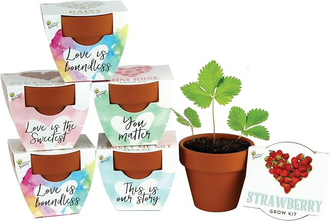BUZZY Seeds Indoor Flower Starter Kit – Terracotta Mini Grow Pots for Kids & Adults, 6-Pack Love Collection – DIY Windowsill Gardening Kit, Wedding Favors, Party Favors, Bridal Shower Gifts