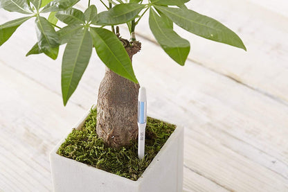 Sustee Aquameter, Set of 5, Plant Soil Moisture Sensor (White, Large)