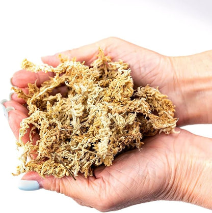 Gardenera Ixora Potting Mix - Promote Strong Roots and Abundant Flowers with Our Premium Blend - 4 Quart