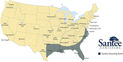 Lawnifi Santee Centipede Grass Seeds for Lawn, 2 lbs Covers 4,000 Sq Ft