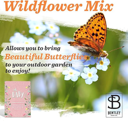 BENTLEY SEED CO. Oh Baby Flower Seeds Packets - Girl/Boy Baby Shower Favors - Pre-Filled, 25 Wildflower Seed Packs for Favor - Eco-Friendly Gift & Babys Guest Giveaways - Non-GMO Seeds - Pink