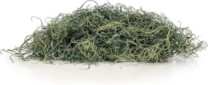 Premium Coconut Husk Chips and Fibers Mix for Orchids, Houseplant, Monstera and Fiddle Leaf Fig by GARDENERA (3 Quart Bag)