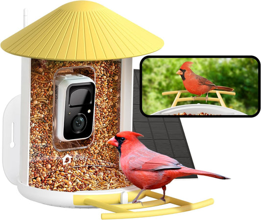 NETVUE by Birdfy Smart Bird Feeder with Camera, Battery&Solar Powered, 2MP Wireless Wildbird Watching, Night Color Vision, Auto-Capture & Notify, Collection & Cloud Storage (AI by Subscription)