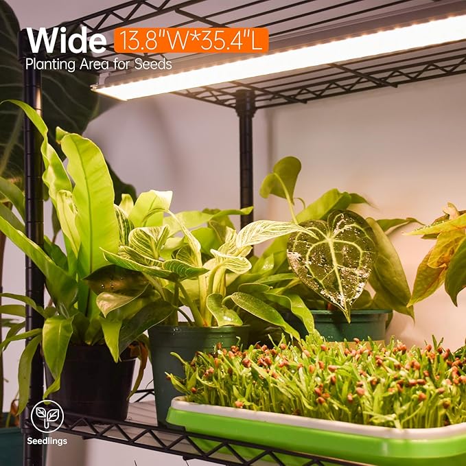 Bstrip Plant Shelf with Grow Lights, 4-Tier Grow Light Shelf with 30W T5 Full Spectrum Grow Lights, Plant Stand with Grow Light for Indoor Plants, Seed Starting, Seedlings(35.4" L x 13.8" W x 59" H)