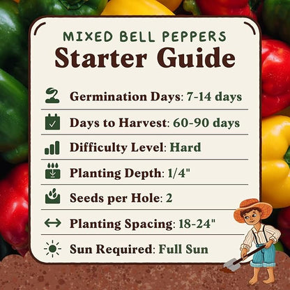 Seedboy Organic Bell Pepper Seeds for Planting Indoor and Outdoor, Non-GMO and USDA Certified Vegetable Seed Packet for Hydroponic Garden Indoor or Planting Outdoors (Bell Peppers)