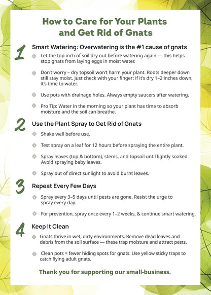 Kate's Garden Plant Spray for Insects & Getting Rid of Gnats. Fungus Gnat Killer & Bug Spray for Indoor Plants (16oz, Pet Safe, Non Toxic)
