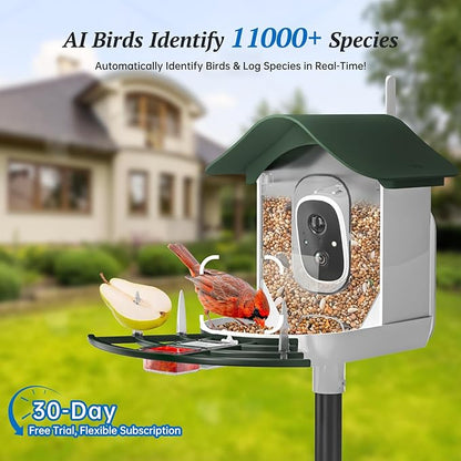 Smart Bird Feeder with Camera, 2K HD AI Identify Birds Species, Bi rd Watching Camera with Solar Panel, Instant Notifications, Ideal Present for Bird Lover, Dark Green