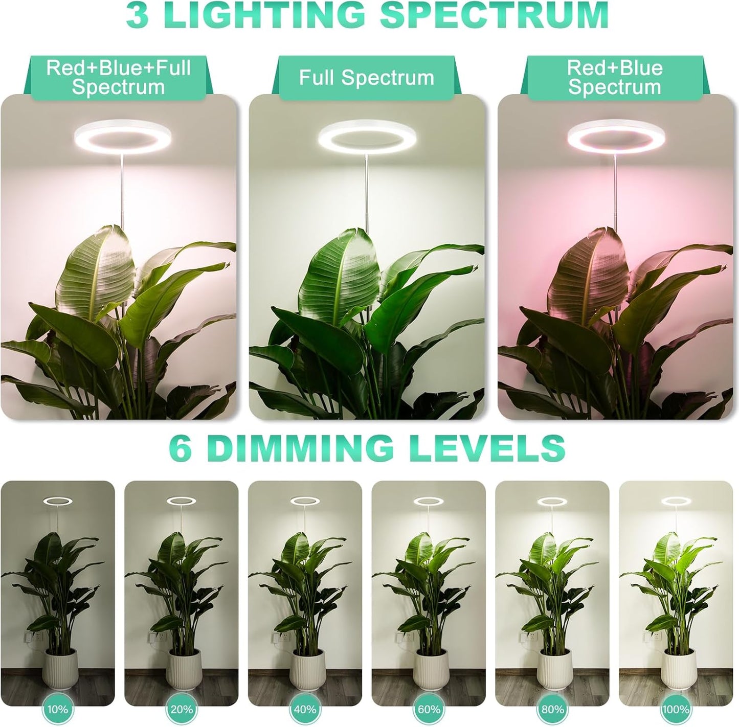 LORDEM 10" Grow Light for Indoor Plants, Full Spectrum Plant Lamp with160 LEDs, 4H/8H/12H Timer, 10 Dimmable Levels, 3 Spectrum Modes, Height Adjustable 65", Ideal for Large Tall Plants, Pack of 2