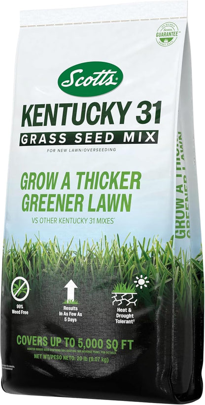 Scotts Kentucky 31 Grass Seed Mix for New Lawns or Overseeding, Grows Thicker and Greener vs. Other Kentucky 31 Mixes, Covers up to 5,000 sq. ft.