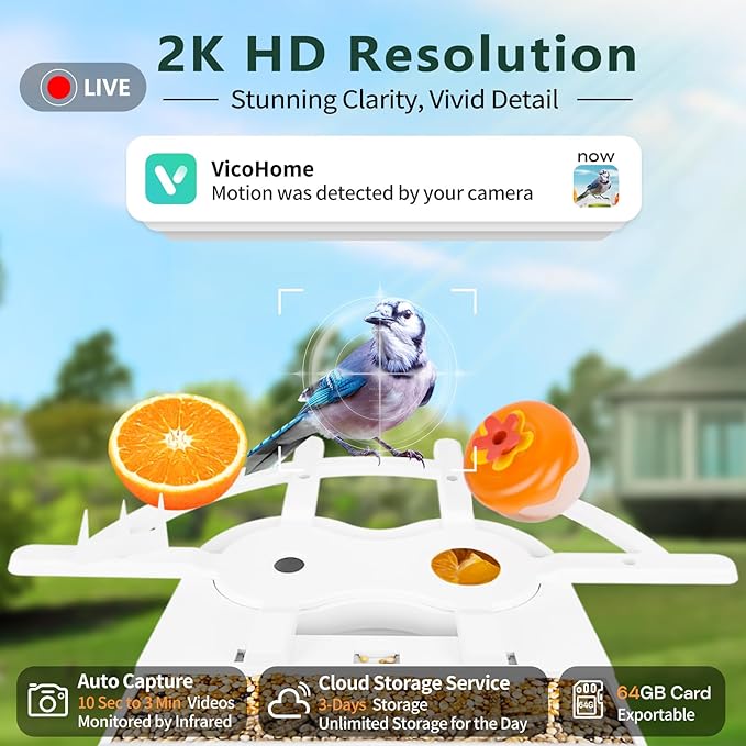 Smart Bird Feeder with Camera for Outside, 2K Ai Camera Feeder Wireless Outdoor, Bird House with Solar Powered Video Live Auto Capture, Watching Gifts for Birds Lovers