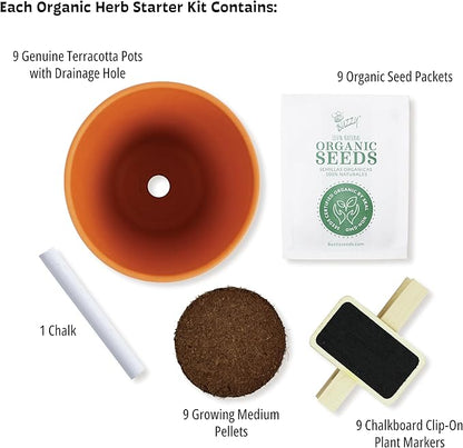 BUZZY Seeds 9 Pot Terracotta Grow Kit Organic Herb Seed Starter Set for Indoor Planting | Includes Seeds, Planting Pots, Soil and Plant Markers, Easy Gardening Gift, Kids Project, Gifts for Teachers