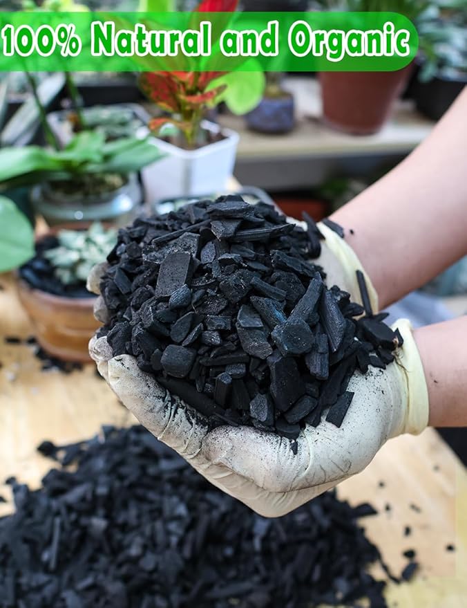 TOYPOPOR Horticultural Charcoal for Indoor Plants (3 Quarts) Hardwood Potting Soil Amendment Helps Improve Drainage for Orchids, Succulent, Cactus, Terrariums, and Gardening