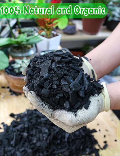 TOYPOPOR Horticultural Charcoal for Indoor Plants (3 Quarts) Hardwood Potting Soil Amendment Helps Improve Drainage for Orchids, Succulent, Cactus, Terrariums, and Gardening