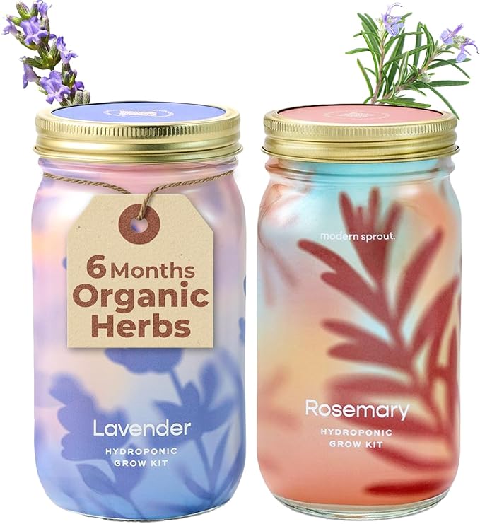 Modern Sprout Mason Garden Jar - Self-Watering Hydroponics Growing System Kit with Organic Herb Seeds - Jar Planter for Indoor Herb Garden - Seed Starter Kit - Home Decor & Gifting - Lavender+Rosemary