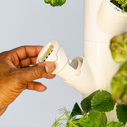 Gardyn yPods - Use with All Home Vertical Indoor Garden Hydroponics Growing System Kits - ABS-Plastic yPods for Vertical Hydroponic Garden Towers - Gardyn Vase Hydroponic Accessories - 10 Pack