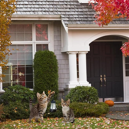 Garden Metal Cat Stake with Solar Light, Outdoor Solar Decoration, Cat Handheld Lantern for Outdoor Garden Lawn Patio, Set of 2