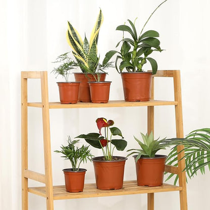 200 Pack 6 Inch Plastic Nursery Pots for Plants, Seedling Pots Succulent Pots Flower Pots with Drainage Holes, Come with 200pcs Plant Labels