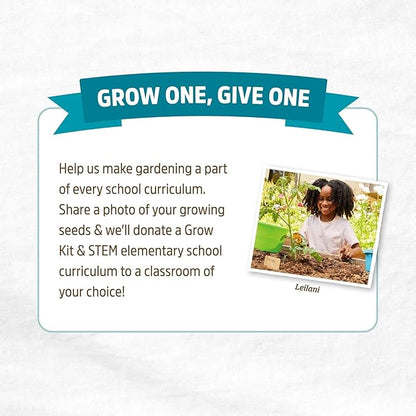 Back to The Roots 100% Organic Heirloom Seeds - Red Carrot Value Pack (840mg Total)