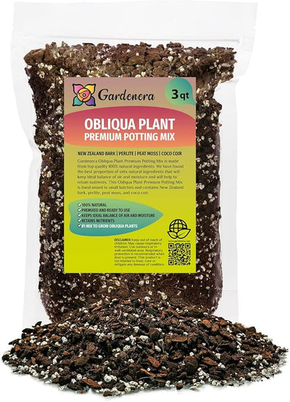 GARDENERA Monstera Obliqua Potting Soil - Enhanced Aeration and Drainage for Optimal Growth by Gardenera - 3 Quart