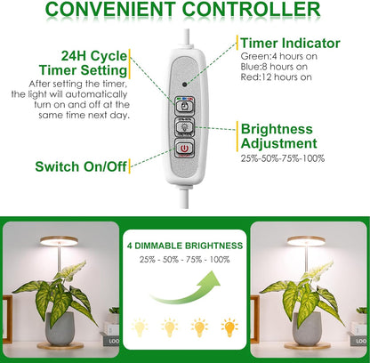 LORDEM Bamboo Grow Light, LED Plant Light for Indoor Plants Growing, Full Spectrum Bamboo Desk Growth Lamp with Automatic Timer for 4H/8H/12H, 4 Dimmable Levels, Height Adjustable, Pack of 2