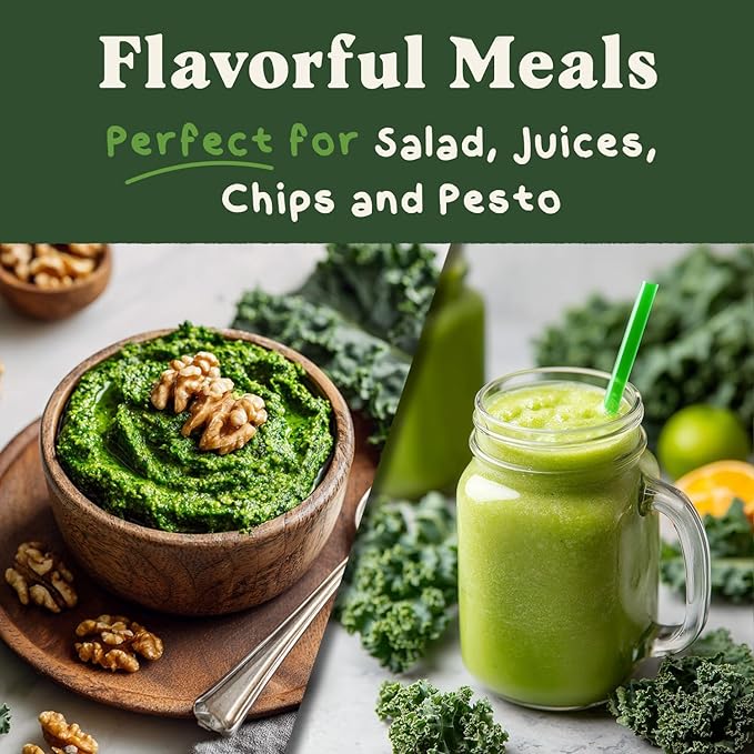 Seedboy Organic Kale Seeds for Planting Indoor and Outdoor, Non-GMO and USDA Certified Vegetable Seed Packet for Hydroponic Garden Indoor or Planting Outdoors (Blue Curled Scotch Kale)