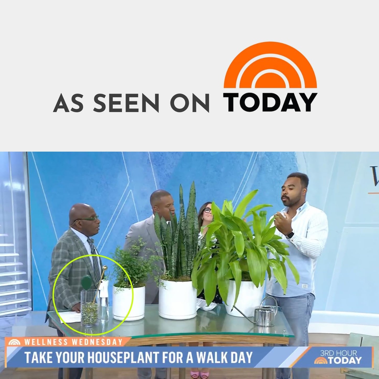 Monitor Brass Soil Probe, Soil Sampler and Plant Moisture Meter, No Batteries Required, Root Aerator and Plant Water Monitor