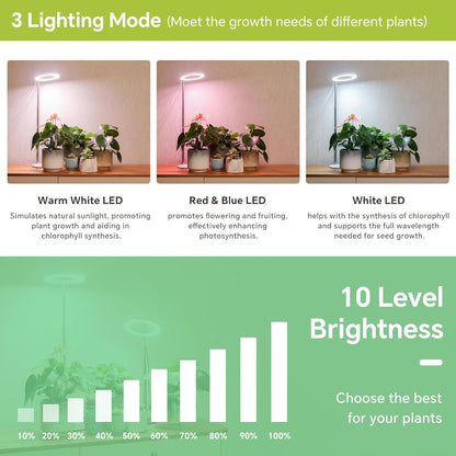 Desktop Grow Light, Height Adjustable Grow Lights for Indoor Plants Full Spectrum, 3 Lighting Mode, Halo Grow Light with Timer, Plant Lights for Indoor Growing (Black)