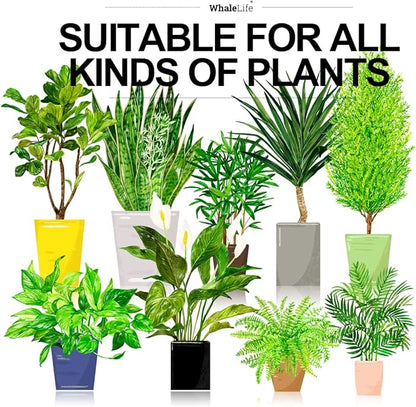 WhaleLife Indoor Watering Can for House Bonsai Plants (2.0L, Blue)