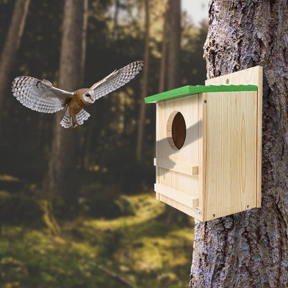 Screech Owl House, Owl Bird Box Large Handmade Wooden Circular Opening Screech Box for Outside with Mounting Screws and A Bag of Wood Shavings, Easy Assembly Required (Green, 9''x14.5XX)