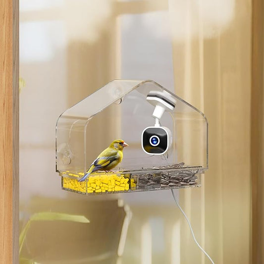 Smart Window Bird Feeder with Camera, 24/7 Powered for 2K HD Live View & AI Species ID, Wild Bird House with 3 Strong Suction Cups, Gift for Bird Watchers (Clear)