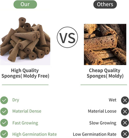 100 Pack Grow Sponges, Seed Pods Replacement Root Growth Sponges Compatible with AeroGarden, Moldy-Free, Sponges Kit with 10 Pod Labels for Hydroponic Indoor Garden System